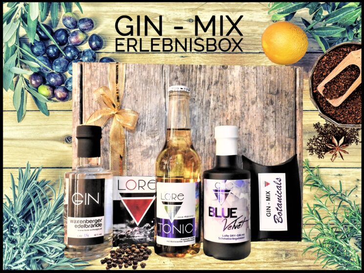 Gingeschenk GinMix Erlebnisbox